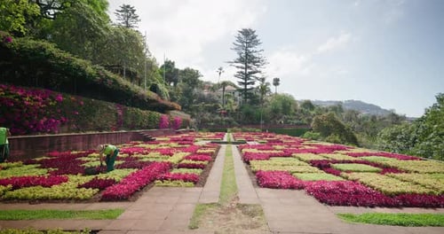 Beautiful Botanical Garden in Madeira, Portugal
