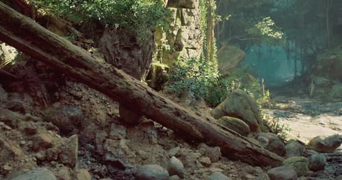 Enchanted Forest Path with Drifting Light Particles