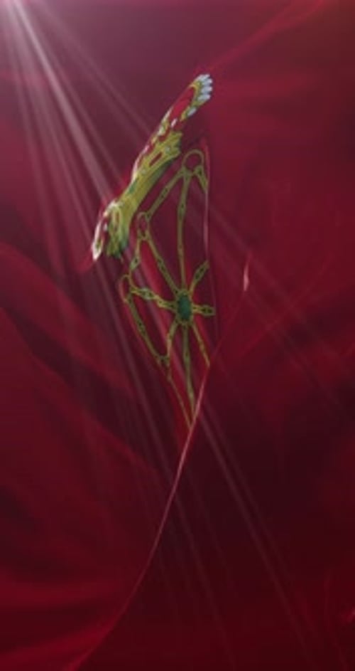 Elegant Growing Golden Vine on Waving Red Fabric