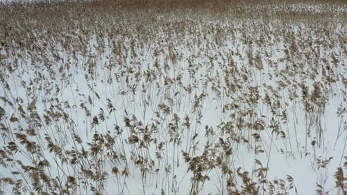 Fliegend über einem kleinen Fluss auf einem schneebedeckten Feld.