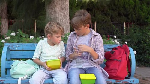 Children eating lunch sandwiches in school yard during break, sitting on the bench. Share the food,