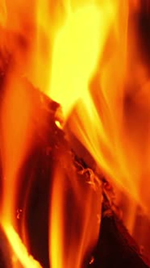 Dynamic Fire Flames Burning Hotly in Dark Background
