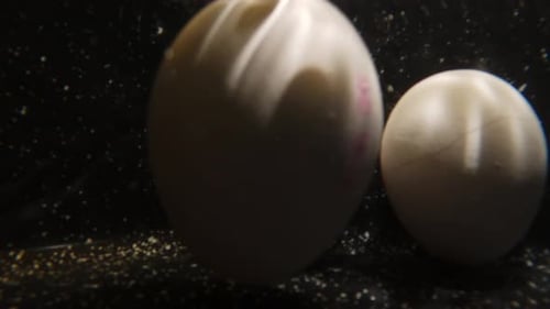 3 Eier, die in einen Topf fallen und zum Frühstück gekocht werden