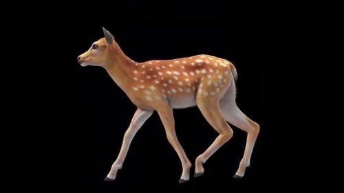 Hirschkalbspaziergang