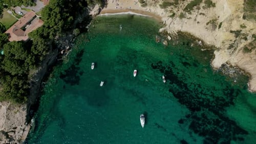 Aerial View of Tropical Beach with Boats