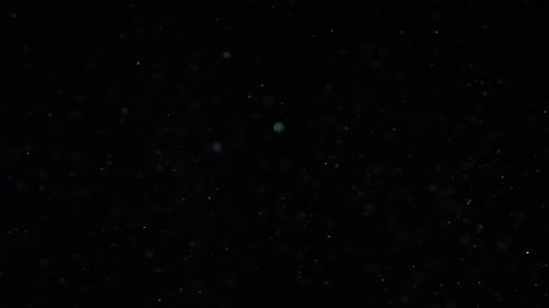 Abstract Brightly Colored Particles Floating on Black