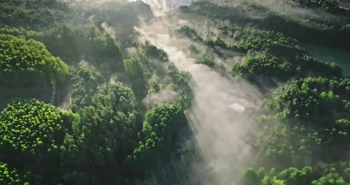 Aerial view of Misty valley at sunrise in autumn.