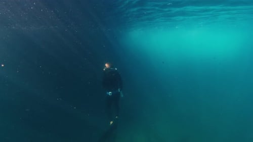 Free Diver Swims Underwater in the Murky Sea and Ascends Freediver Swimming Underwater in the Ocean