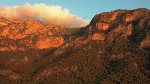 mountain and forest sunset