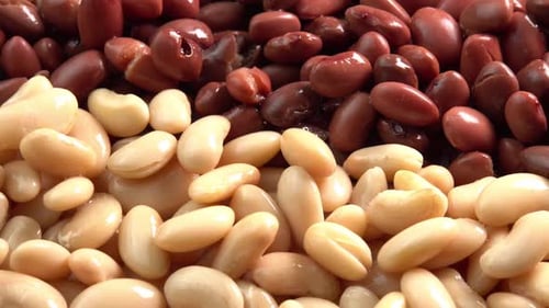 Canned red kidney beans and white kidney beans rotating background close up side view. Organic