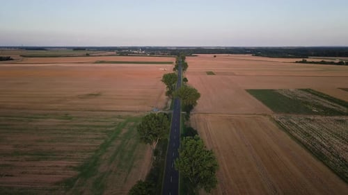 Aerial View of Empty Road Through Agricultural Fields