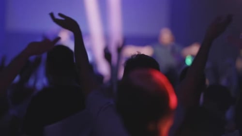 Excited Crowd at a Live Music Concert at Night