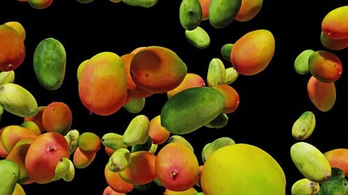 Mango Set Explosion 03 4K