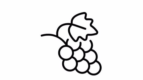 Grapes Flat Icon Animation With Seamless Loop and Alpha