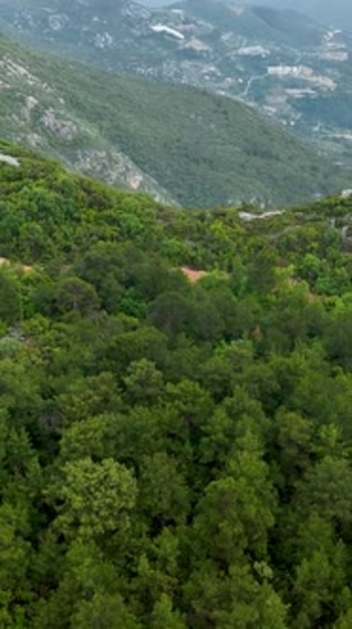 Vertical Video Aerial Escape to a RainKissed Green Paradise Cinematic Serenade for Nature Lovers