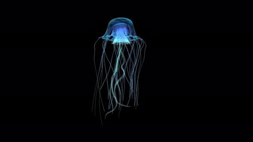 Glowing Blue Jellyfish Fluid Motion Loop