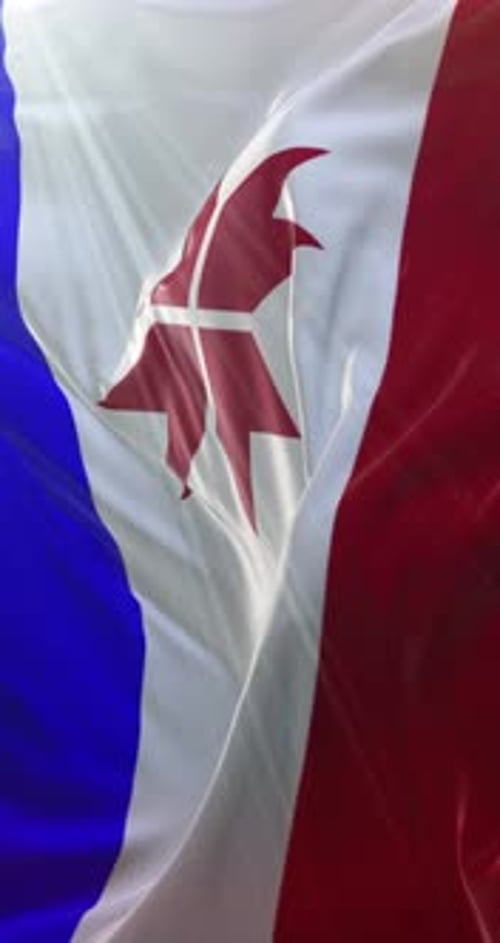 Waving Flag of Wallis and Futuna Vertical Background Loop