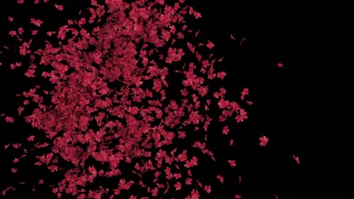 Falling Red Maple Leaves Transition Effect