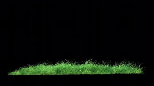 Grass Wind Loop on Alpha 4K.
