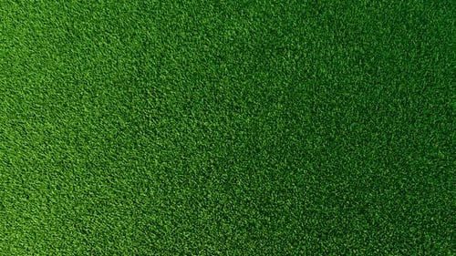 Animated Green Grass Field Seamless Loop Background