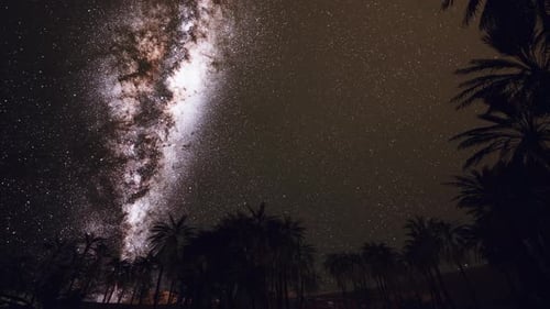 Night Scene with Silhouette Hut and Coconut Tree with Milky Way Galaxy in Sky