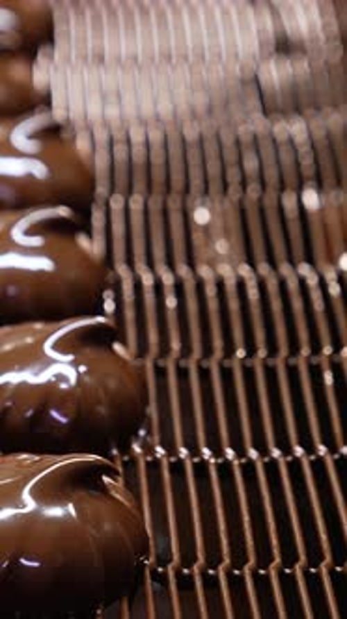 Tasty chocolate candies conveyor. Sweet factory proccess automatic line. Vertical video