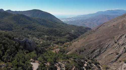 Mountain landscape and forest