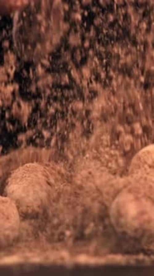 Cocoa Beans Fall on the Table Filmed on a Highspeed Camera at 1000 Fps
