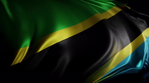Realistic Waving Tanzania Flag Background