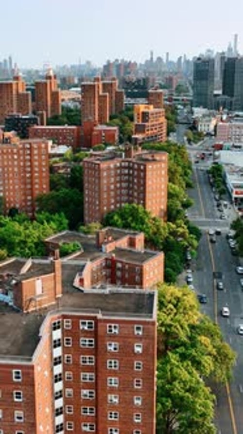 Lots of trees growing among the residential houses. Cityscape of New York.