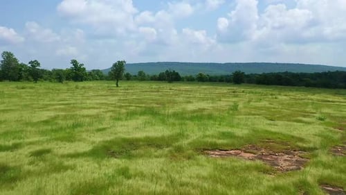 Drohne fliegen über grüne Wiesen in Richtung bewaldeter Landschaft. Niedrige Luftaufnahme