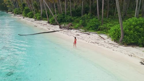 Woman in Swimwear Walks on Beach Under Palm Trees with Quiet Clear Blue Sea Tropical Vacation