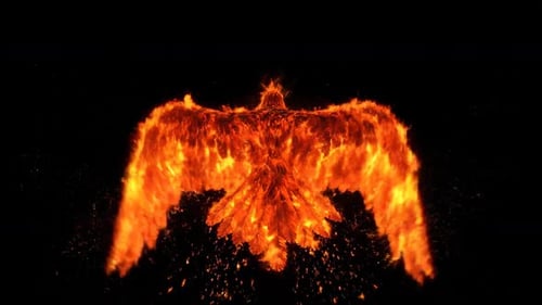 Flight Of The Phoenix Phase 5