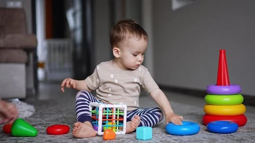 Toddler Playing with Toys at Home with Adult
