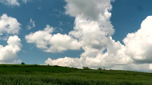 Green Field with Clouds Moving in the Sky