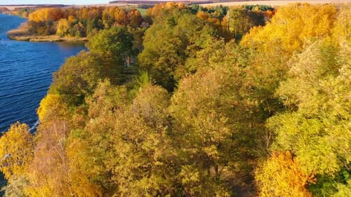 Aerial View of Lake and Autumnal Trees