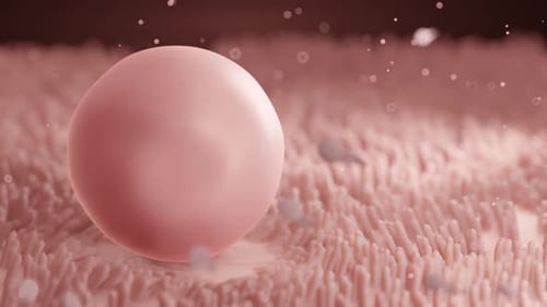 Sperm Cells Approaching Ovum in Biological Illustration