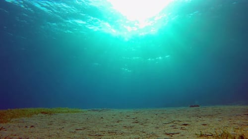 Tropisches blaues Meerwasser