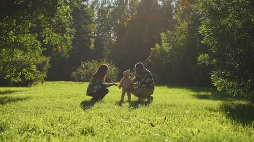 Family Enjoying a Sunny Afternoon in a Lush Green Park with Their Baby