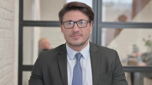 Portrait of Serious Businessman in Office