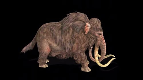 Mammoth Side Swipe