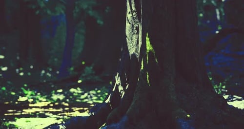 Lush Forest Scene Highlighting a Tree Trunk in Dappled Sunlight and Shadows