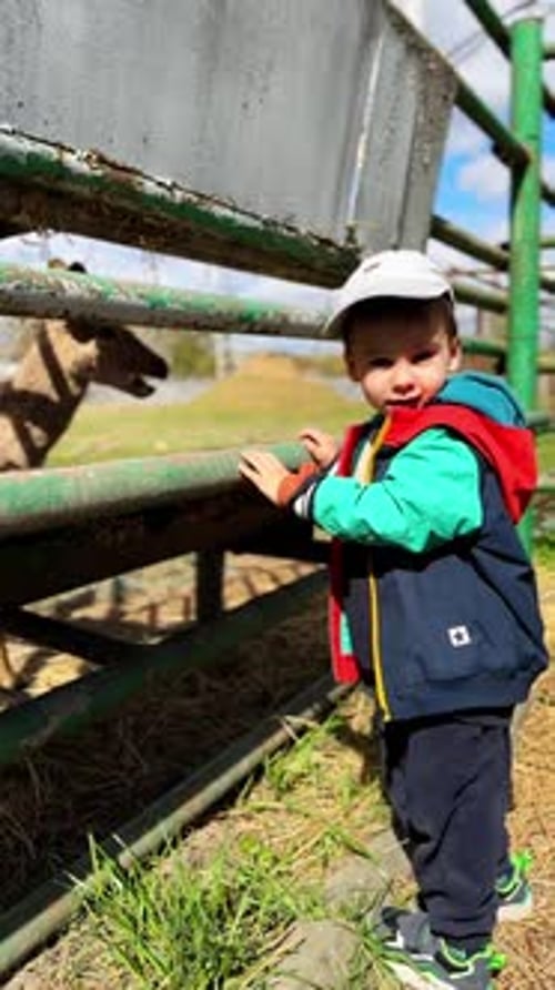 Adorável bebê parado na cerca de um animal que vive no zoológico.