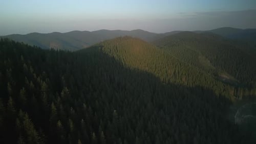 Flying Over Green Forest at Cloudy Day with the Mountains on Horizon with Glowing Clouds Carpathian