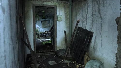 Gritty Abandoned Room in Decaying Building with Overgrowth