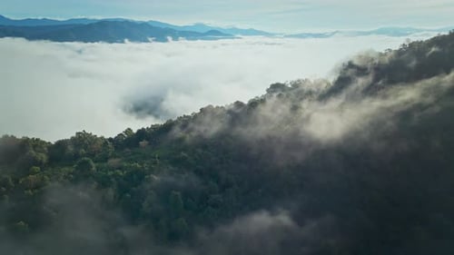 Aerial view of country road in forest morning sea of fog move flowing over mountain and forest