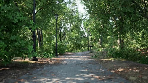 Paths in the Park Zone