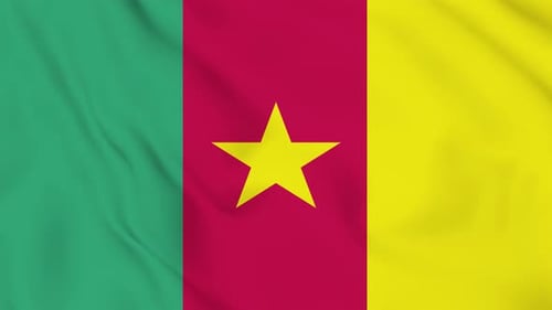 Cameroon Flag Animated 4k