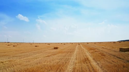 Fantastic landscape of cut agricultural field with hay bales left on it.