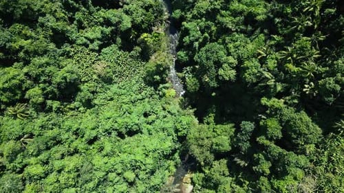 Luftaufnahme des Gebirgsflusses und der grünen Waldbäume in der Landschaft der Waldnatur